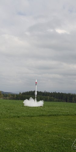 2013 Svojek Mirek Topinka